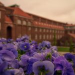 音楽大学に入学するには