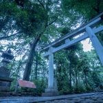 日本で長い歴史を備えた神社本庁の仕事内容